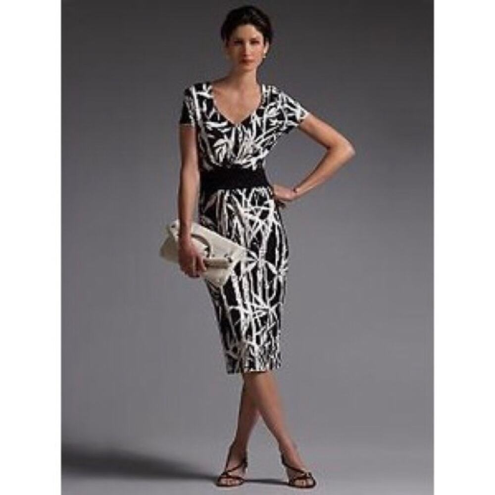 Talbots Black White Bamboo Print V-Neck Dress Size 14